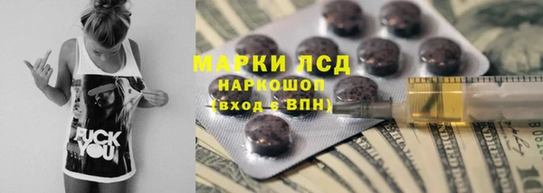 ГАЛЛЮЦИНОГЕННЫЕ ГРИБЫ Балахна