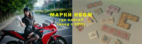 стаф Беломорск