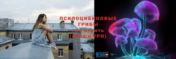 стаф Беломорск