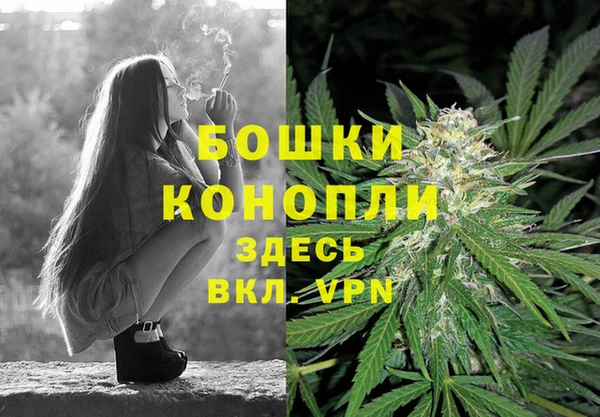 Альфа ПВП Белокуриха
