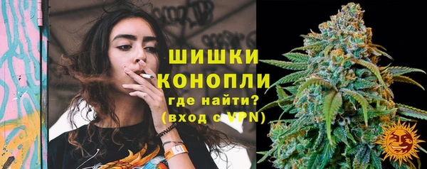 Альфа ПВП Белокуриха