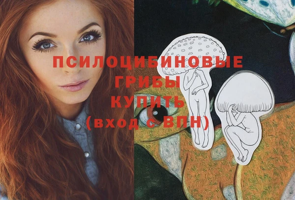 Альфа ПВП Белокуриха